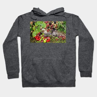 Little mouse and brambles Hoodie